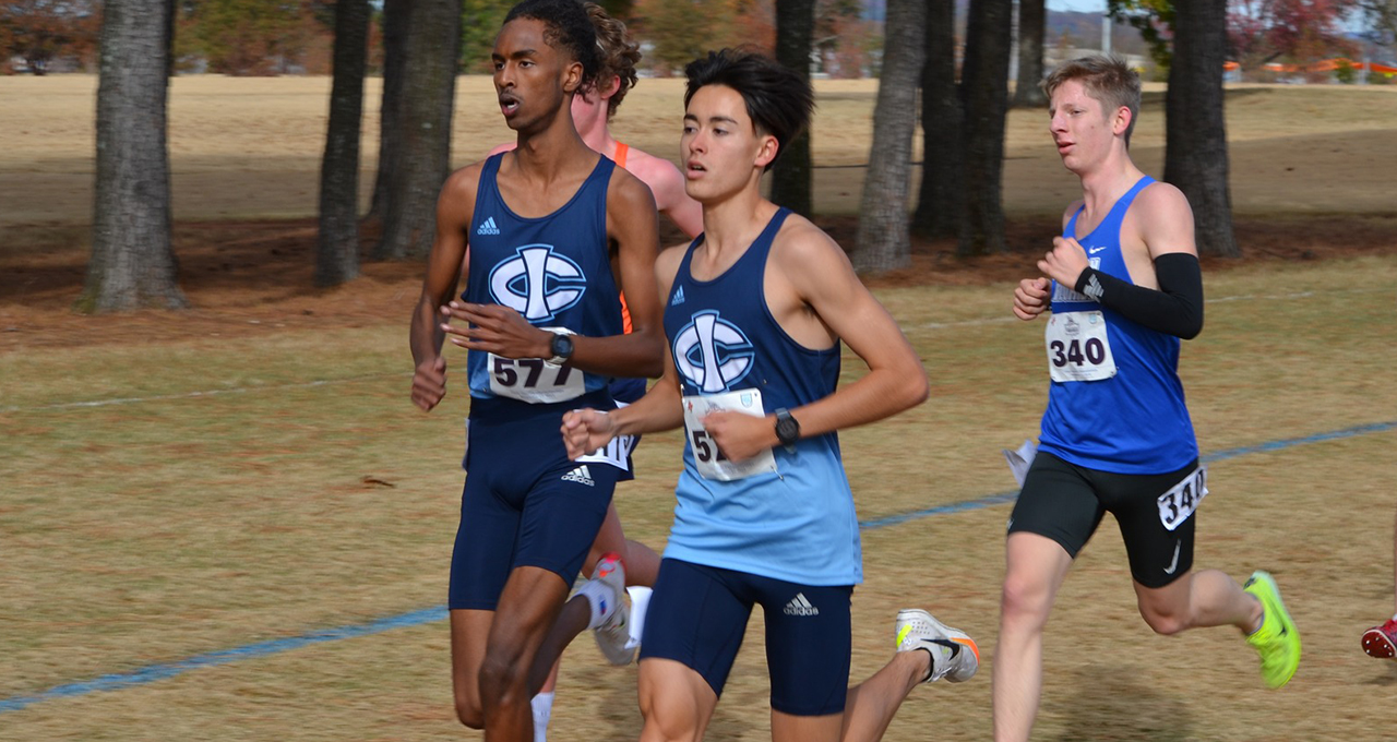 Triton Mens Cross Country finished 8th at nationals. 